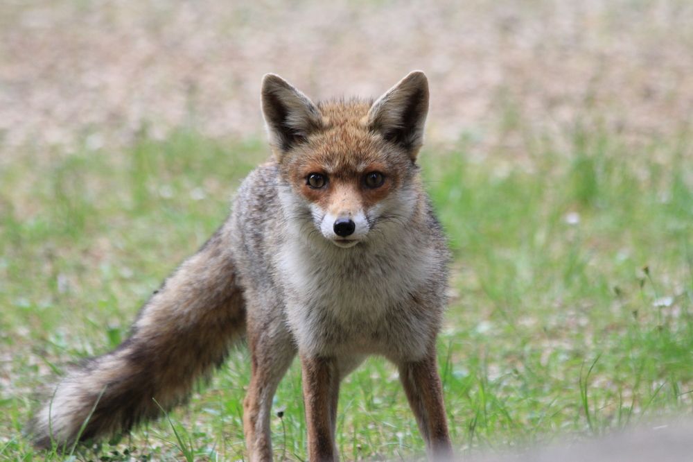 Photograph by Nadzeya