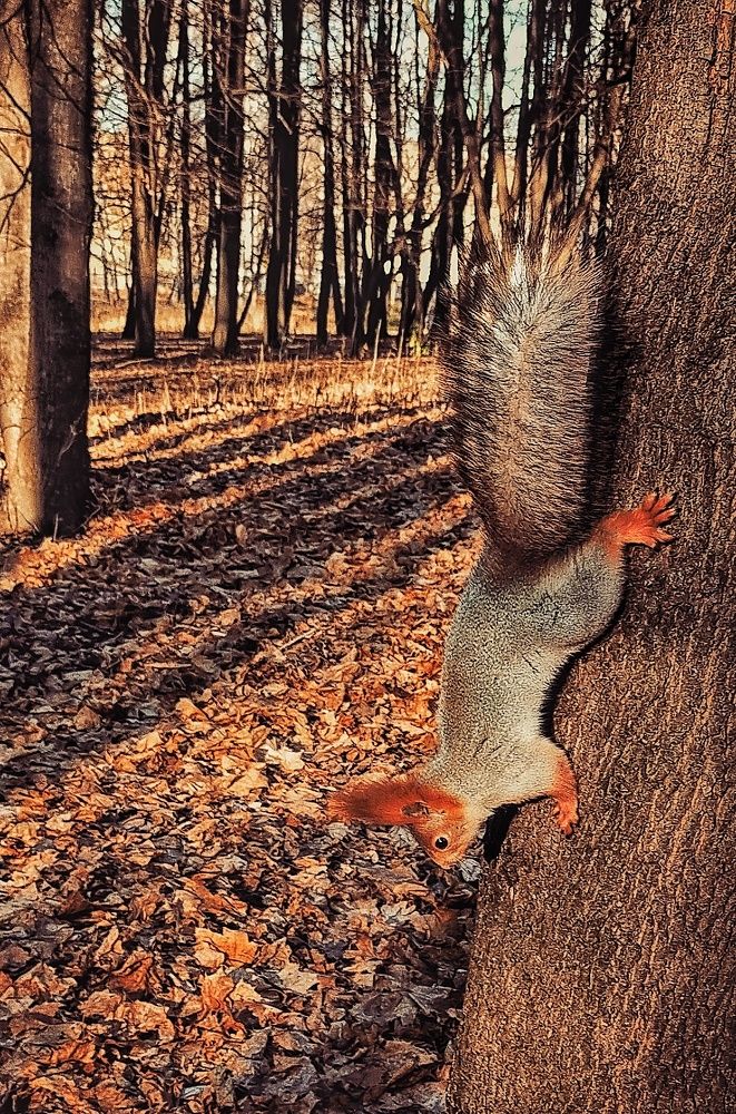 Photograph by Ольга Мартьянова