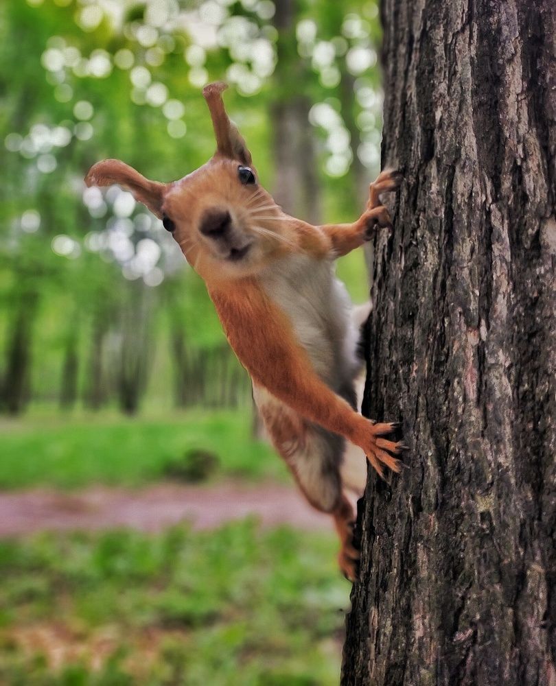 Photograph by Ольга Мартьянова