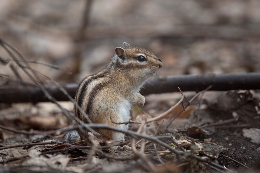 Photograph by Ольга Рагинская