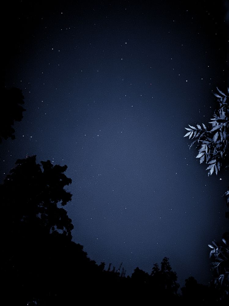 Photograph by Oleksii Pereverziev