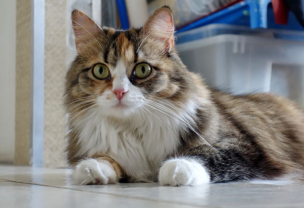 Photograph by Сергей Гребенников