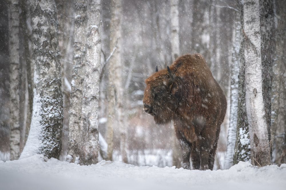 Фотография автора Рудченко Ольга