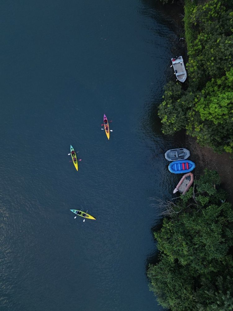 Фотография автора Akash Vishwakarma