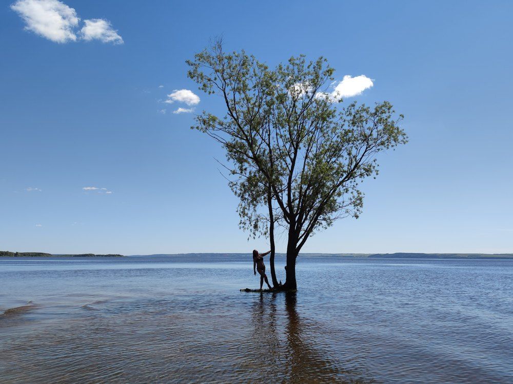 Photograph by Евгений Ужегов