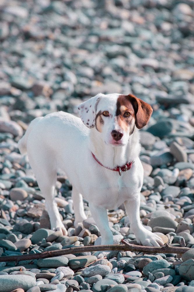 Photograph by Регина Егорова