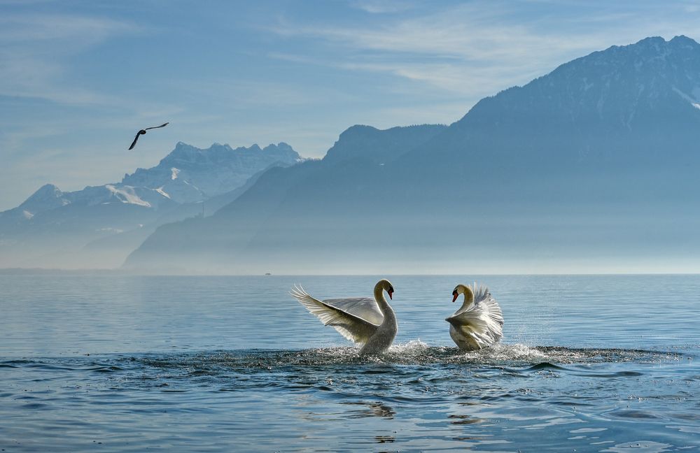 Photograph by PALLAVI