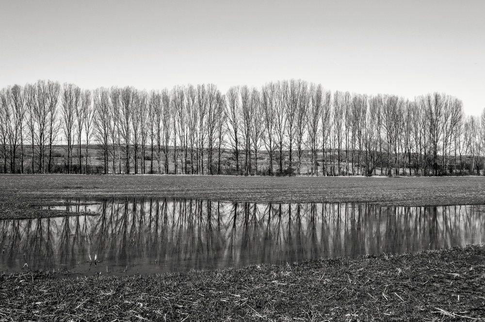 Photograph by Pavel Dimitrov