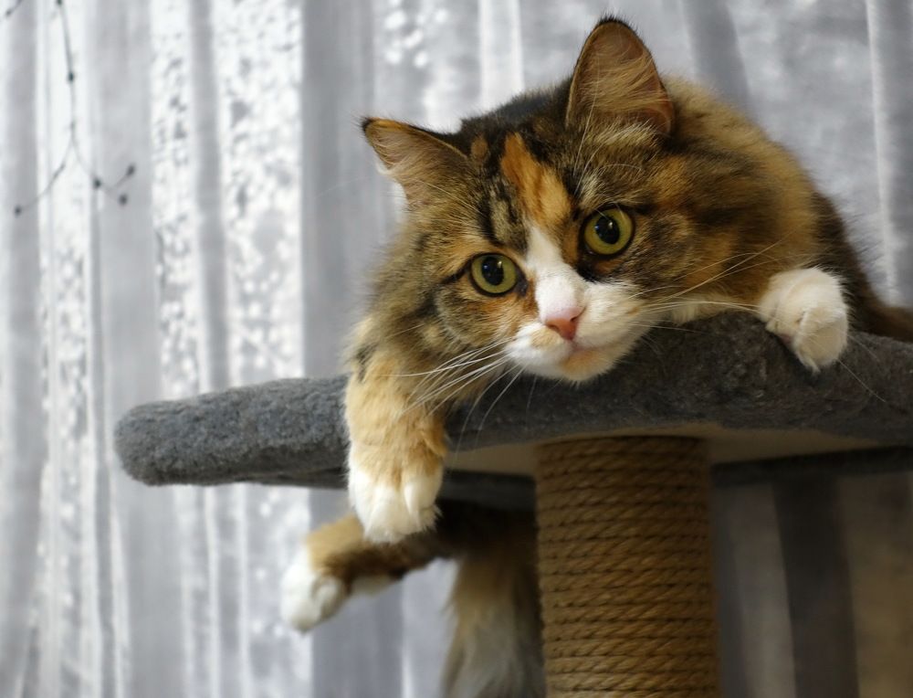 Photograph by Сергей Гребенников