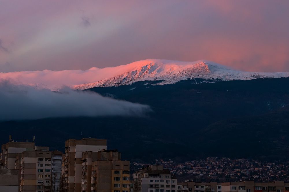 Photograph by Vania Tonova