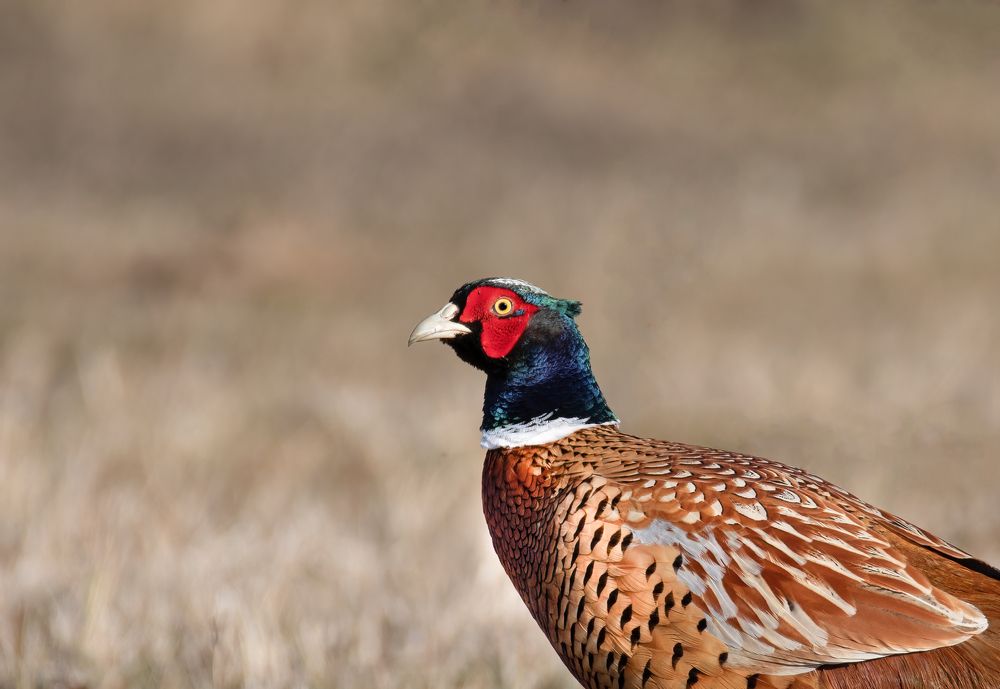 Photograph by Neza Cankar