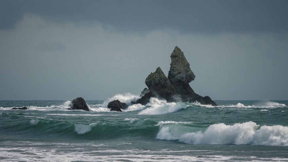 Photograph by Andy Fowlie