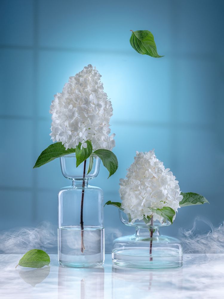 Фотография автора ЯR Ольга