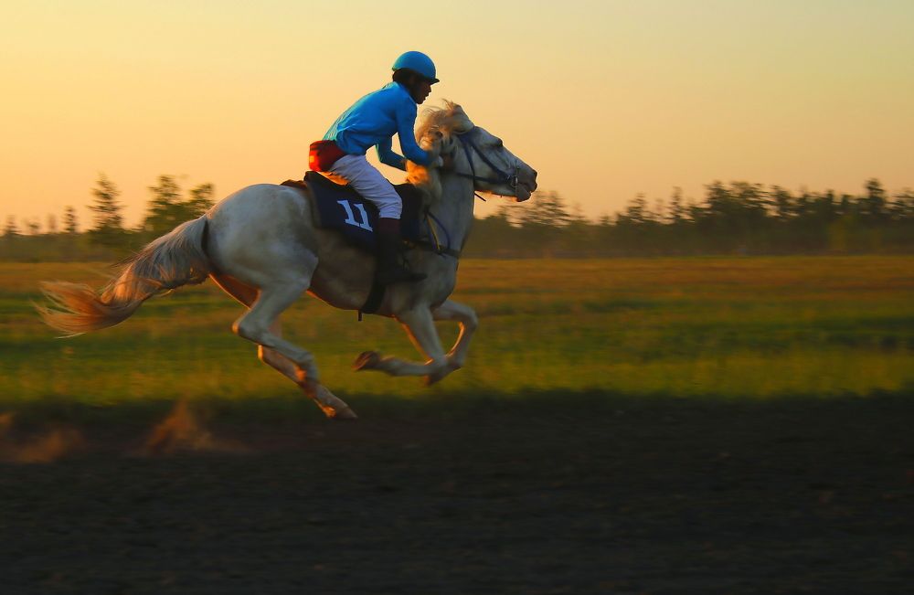 Photograph by Александр Велигура