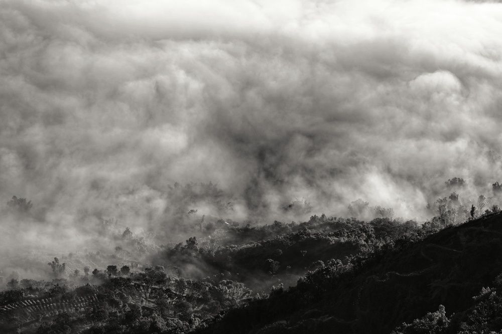 Photograph by SRIMANTA RAY