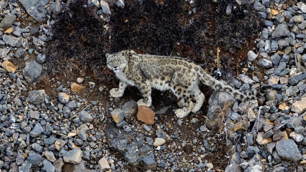 Photograph by Rahul Khadiwala