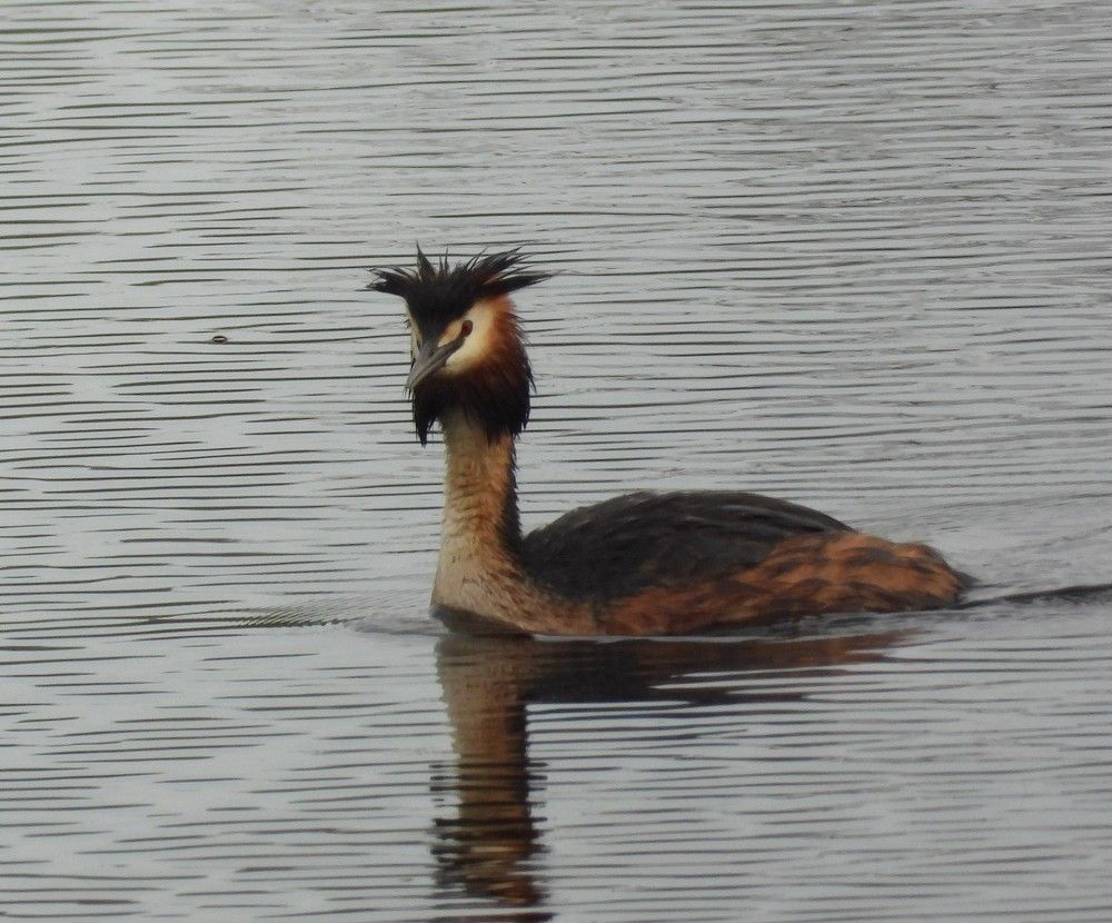 Photograph by Владимир Джерихов