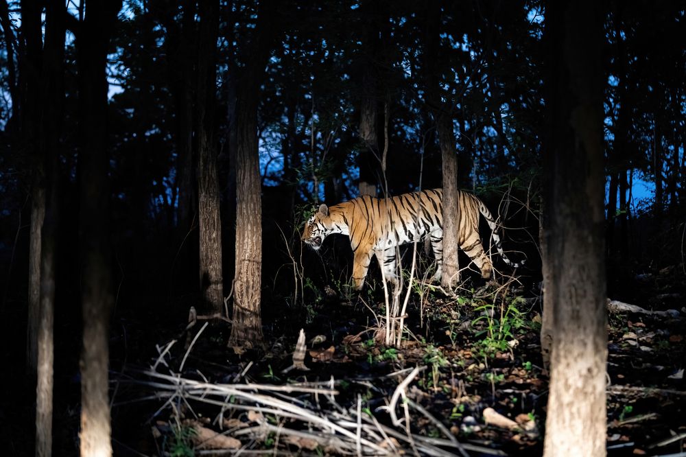 Photograph by Nitin Baste