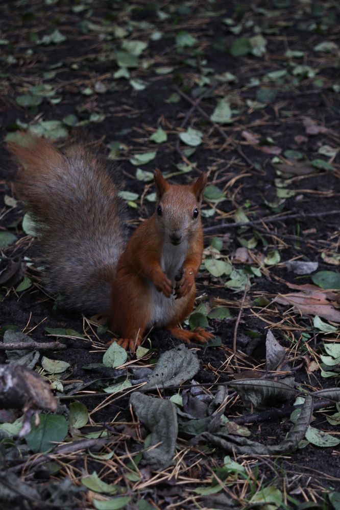 Photograph by Наталья Мотрий