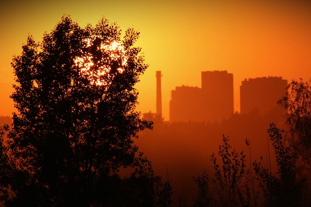 Этюд в оранжевых тонах