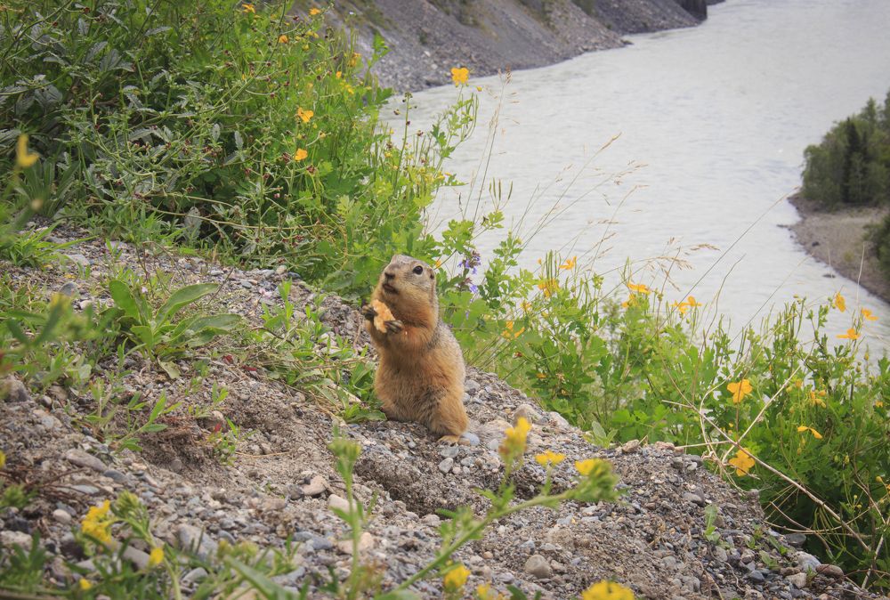 Photograph by Сергей Захаров
