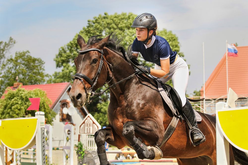 Photograph by Шруб (Беляева) Татьяна