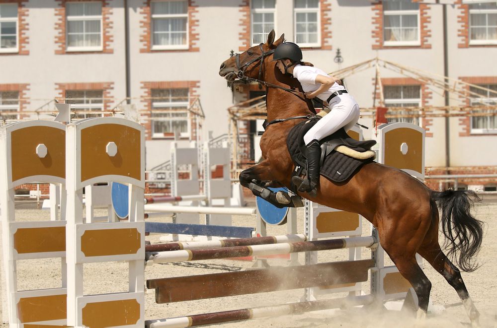 Photograph by Шруб (Беляева) Татьяна