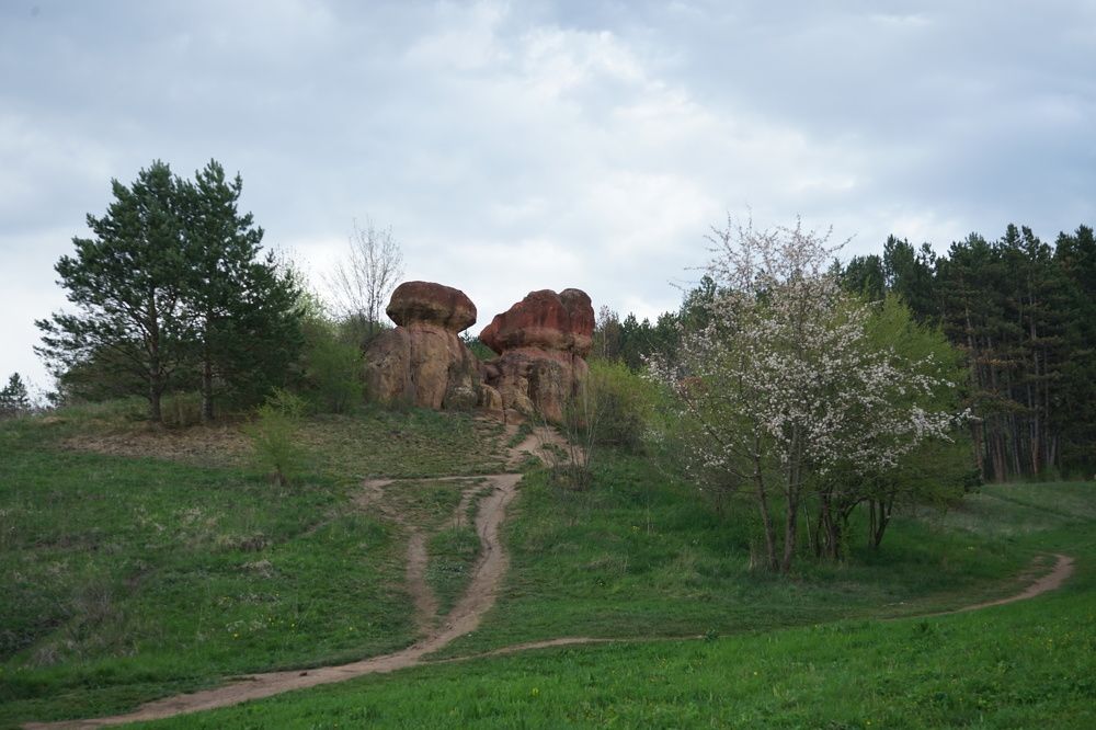 камни грибы