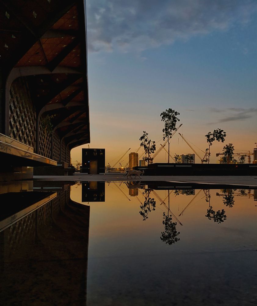 Photograph by omnia Ahmed