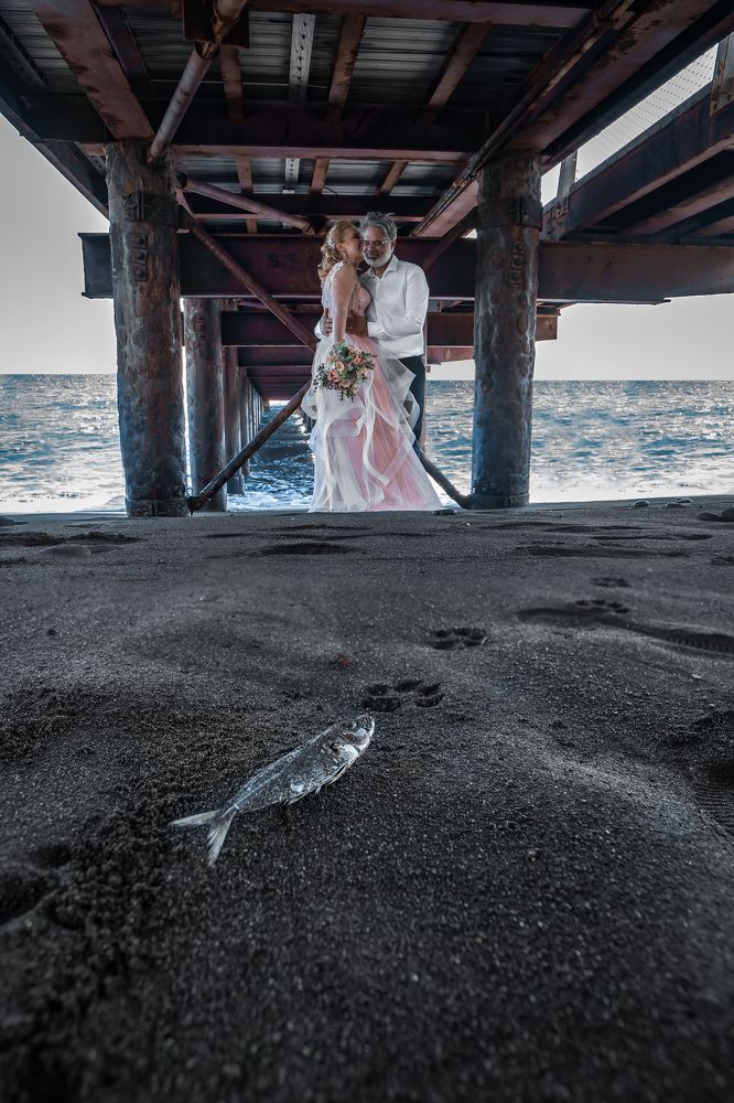 Photograph by Svetlana Pascoal