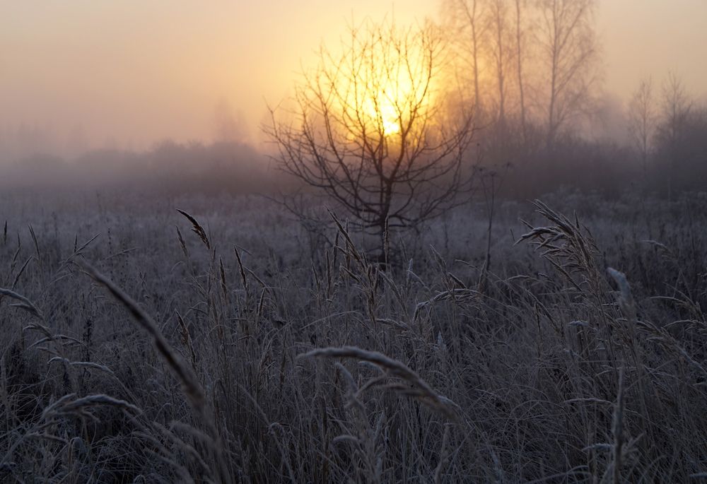Photograph by Лена Максимкина