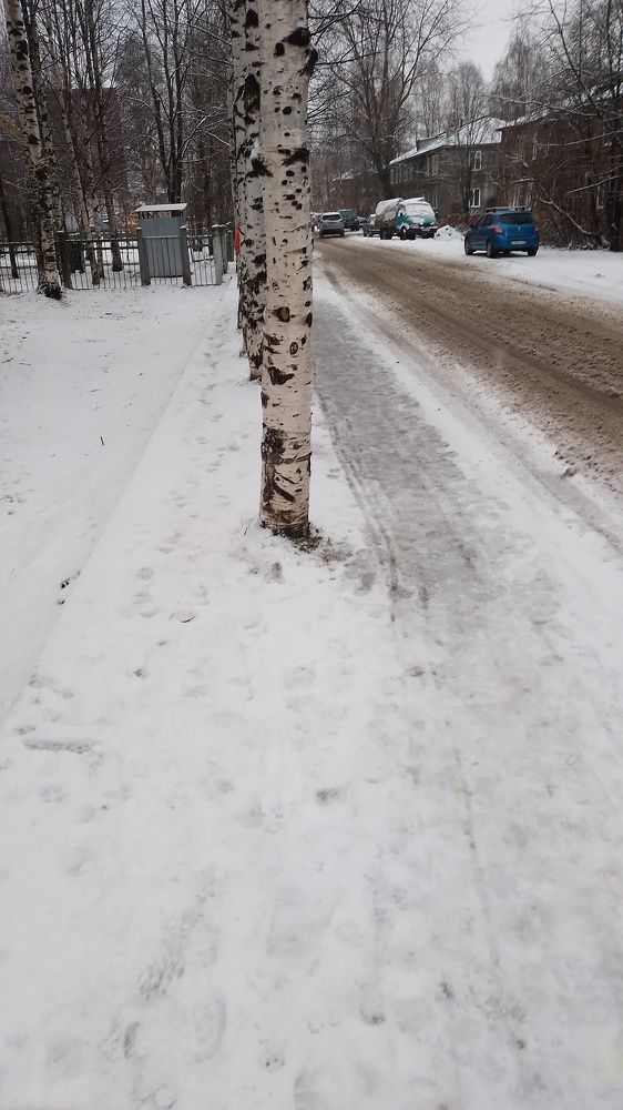 Photo #9915712