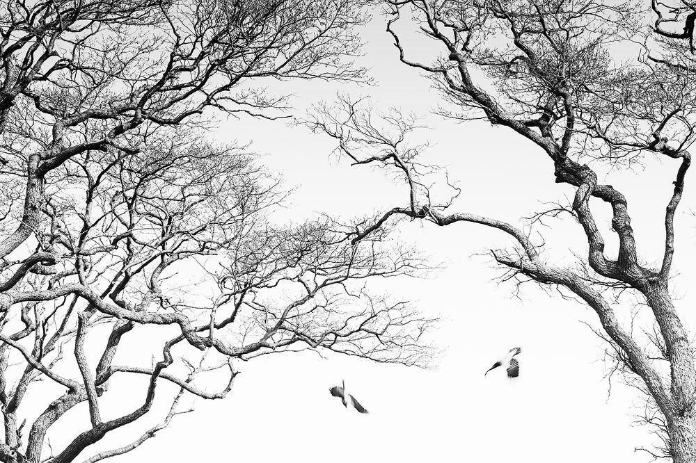 Photograph by  Marina