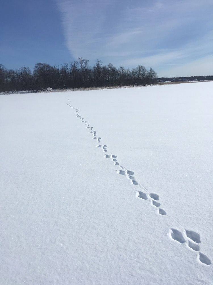 Photograph by Ольга Рубцова