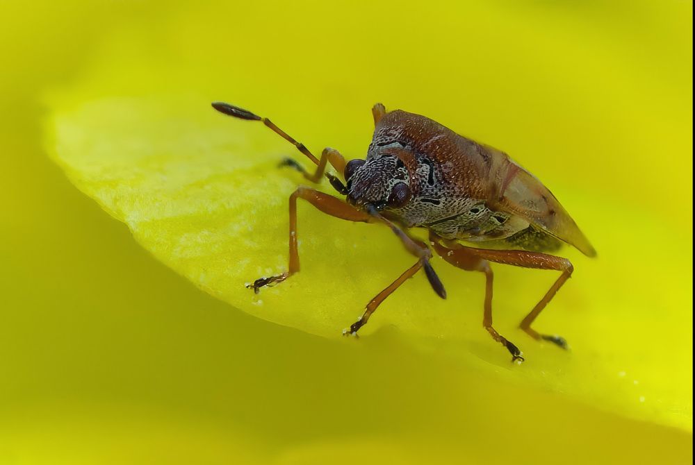 Photograph by Александр К