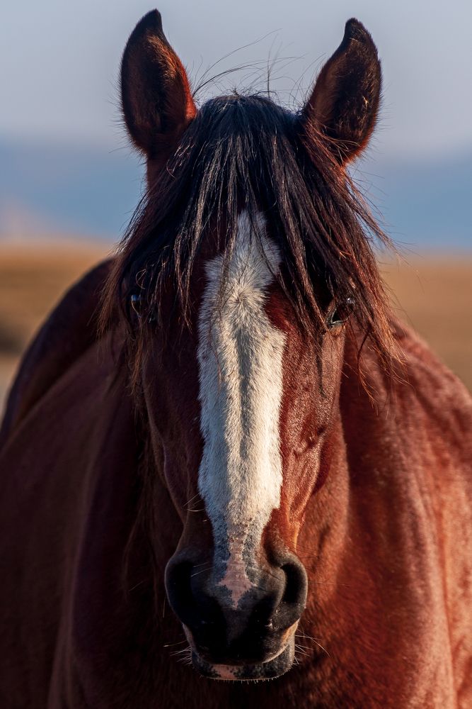Photograph by Алексей Фурман