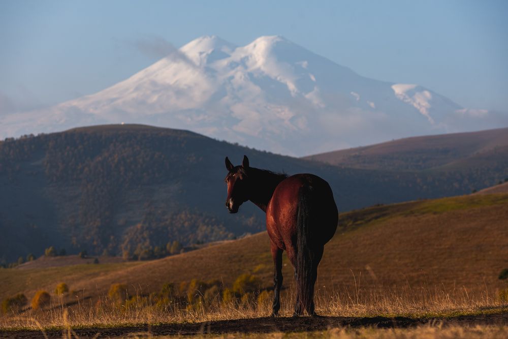 Photograph by Алексей Фурман