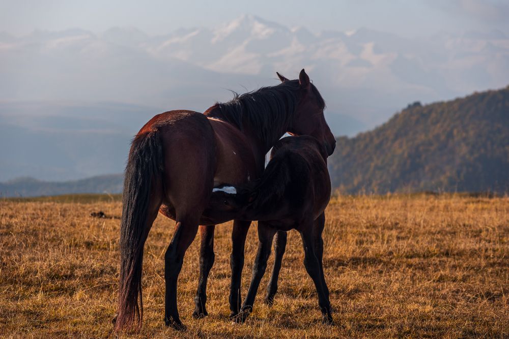 Photograph by Алексей Фурман