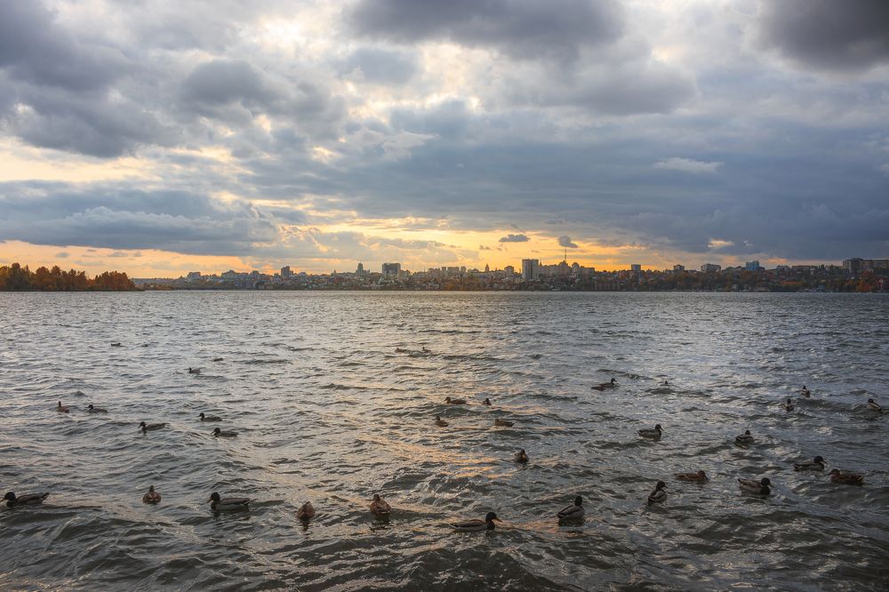 Photograph by Александр Мещеряков