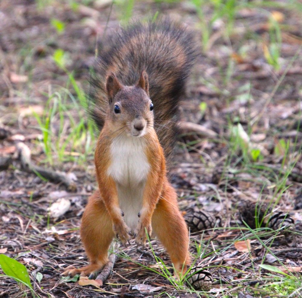 Photograph by Anna Baykova