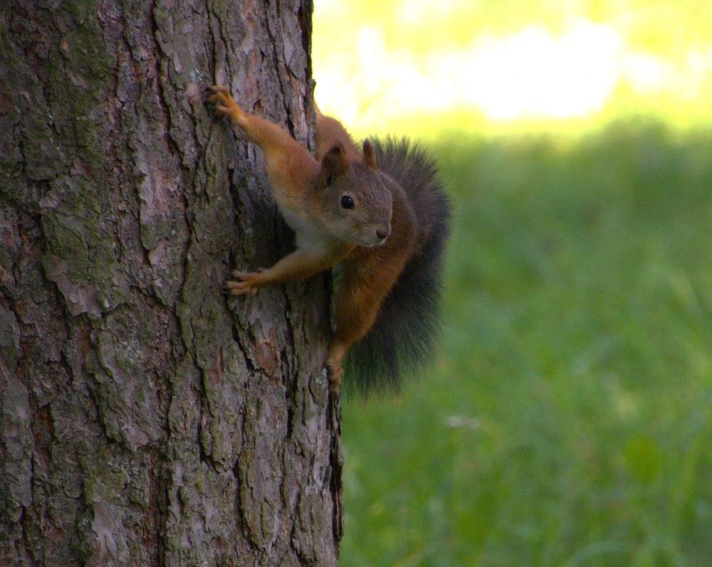 Photograph by Anna Baykova