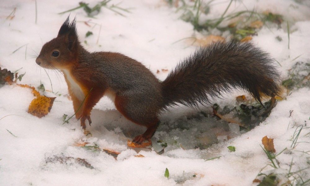 Photograph by Anna Baykova