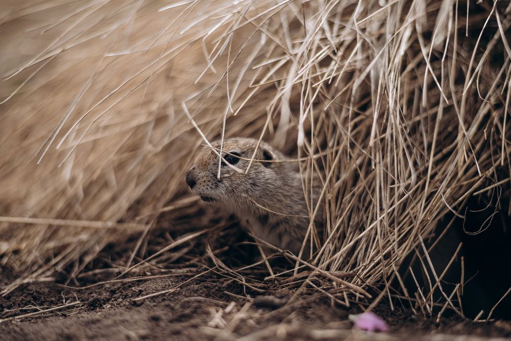 Photograph by Лина Лазарева