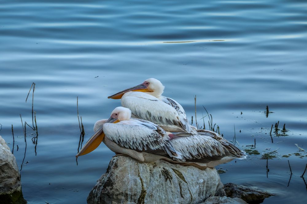 Photograph by Buket Demirel