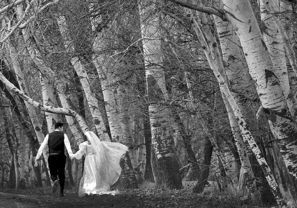 Фотография автора Ghadir Vaghari