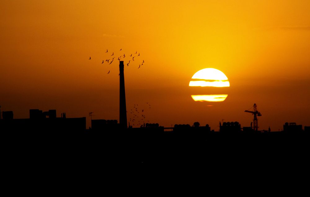 Фотография автора Ghadir Vaghari