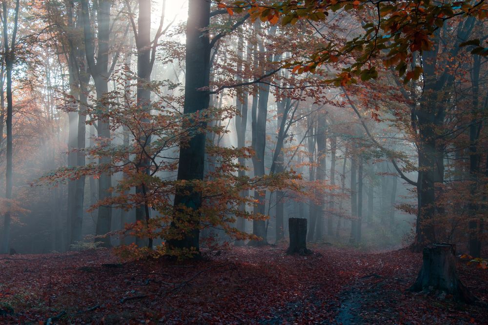 Photograph by Marcin Nalepka