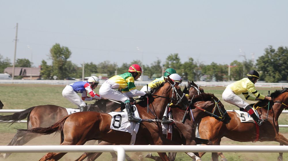 Photograph by Ольга Сельницына