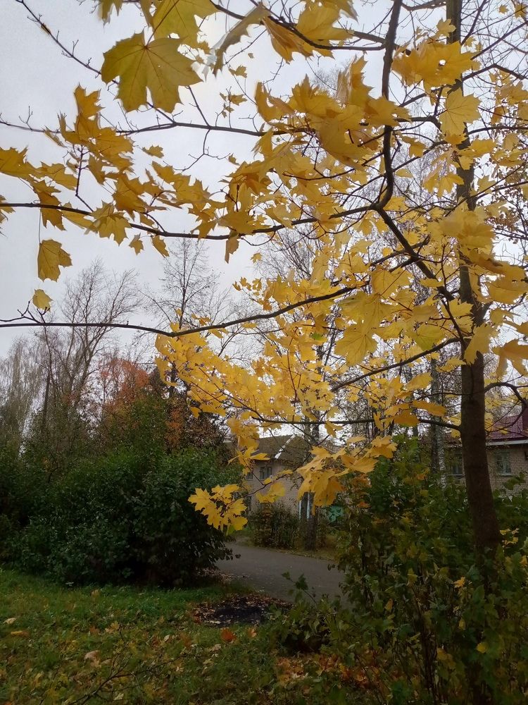 Photo #9916402