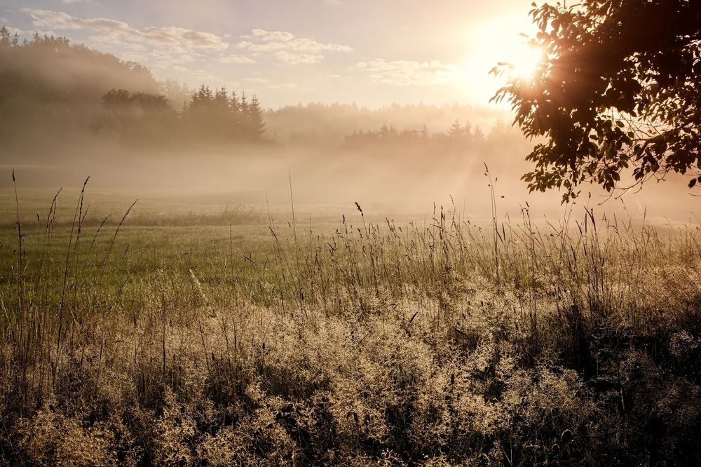 Photograph by Jan Musil